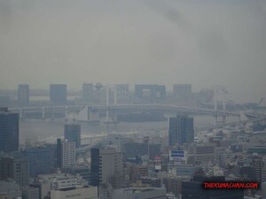 thekumachan_Tokyo_tower_Japan-10