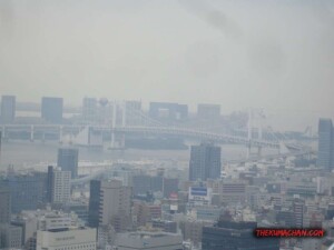 thekumachan_Tokyo_tower_Japan-11