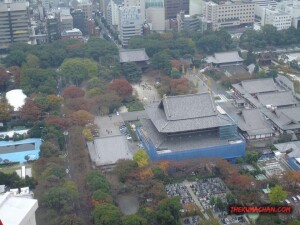 thekumachan_Tokyo_tower_Japan-12