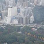 thekumachan_Tokyo_tower_Japan-13