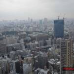 thekumachan_Tokyo_tower_Japan-2