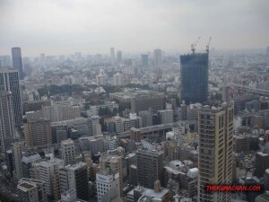 thekumachan_Tokyo_tower_Japan-2