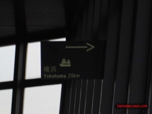 thekumachan_Tokyo_tower_Japan-3