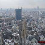 thekumachan_Tokyo_tower_Japan-5