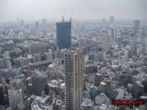 thekumachan_Tokyo_tower_Japan-5