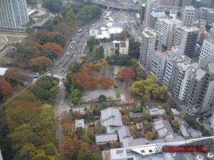 thekumachan_Tokyo_tower_Japan-6