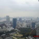 thekumachan_Tokyo_tower_Japan-7