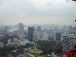 thekumachan_Tokyo_tower_Japan-7
