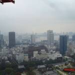 thekumachan_Tokyo_tower_Japan-8