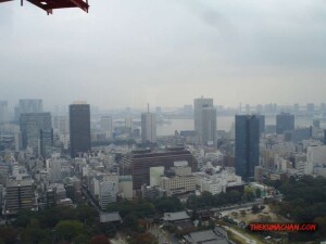 thekumachan_Tokyo_tower_Japan-8
