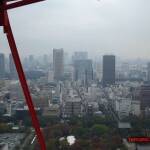 thekumachan_Tokyo_tower_Japan-9