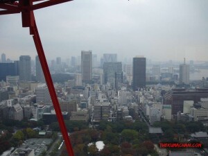 thekumachan_Tokyo_tower_Japan-9