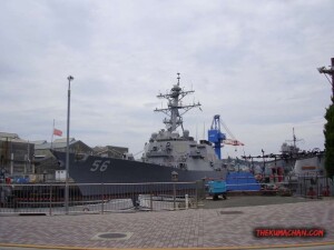 thekumachan_Yokohama_Japan-3