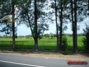 thekumachan_manila_to_angeles_city_philippines-19