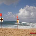 thekumachan_northshore_oahu_hawaii-1