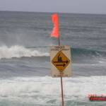 thekumachan_northshore_oahu_hawaii-2