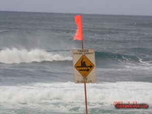 thekumachan_northshore_oahu_hawaii-2