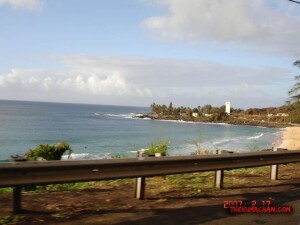 thekumachan_northshore_oahu_hawaii-3