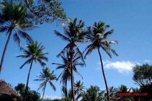 thekumachan_polynesian_cultural_center_hawaii-5