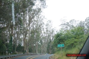 thekumachan_richmond_to_sausalito_california-23