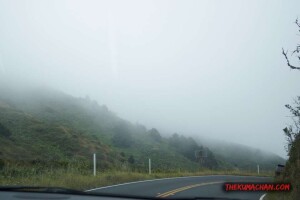 thekumachan_richmond_to_sausalito_california-25
