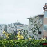 thekumachan_SF_Lombard_Street-10