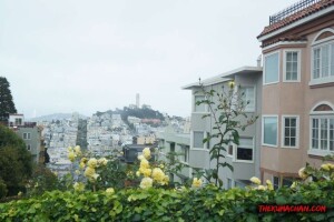 thekumachan_SF_Lombard_Street-10