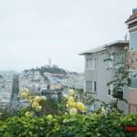 thekumachan_SF_Lombard_Street-11