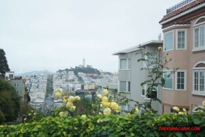 thekumachan_SF_Lombard_Street-11