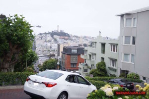 thekumachan_SF_Lombard_Street-12