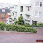 thekumachan_SF_Lombard_Street-13