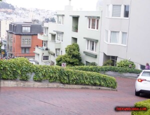 thekumachan_SF_Lombard_Street-13