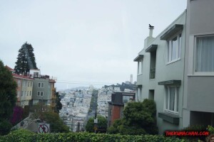 thekumachan_SF_Lombard_Street-15