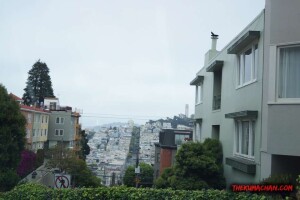thekumachan_SF_Lombard_Street-17