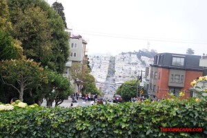 thekumachan_SF_Lombard_Street-18