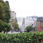 thekumachan_SF_Lombard_Street-19