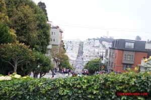 thekumachan_SF_Lombard_Street-19