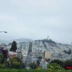 thekumachan_SF_Lombard_Street-2