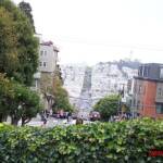 thekumachan_SF_Lombard_Street-20