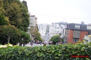 thekumachan_SF_Lombard_Street-20