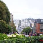 thekumachan_SF_Lombard_Street-21