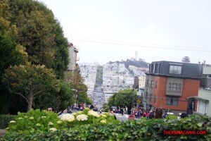 thekumachan_SF_Lombard_Street-21