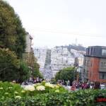 thekumachan_SF_Lombard_Street-22