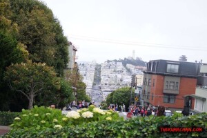 thekumachan_SF_Lombard_Street-22