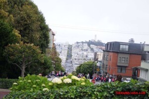 thekumachan_SF_Lombard_Street-23