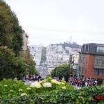 thekumachan_SF_Lombard_Street-24