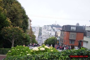 thekumachan_SF_Lombard_Street-24