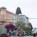 thekumachan_SF_Lombard_Street-26