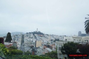 thekumachan_SF_Lombard_Street-3