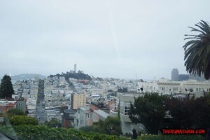 thekumachan_SF_Lombard_Street-4